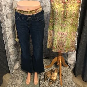 Banana Republic | Limited Edition Flare Jean | 10